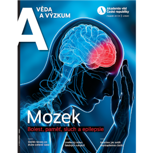 Sloupy elektrického napětí – útočiště nebo hrozba?