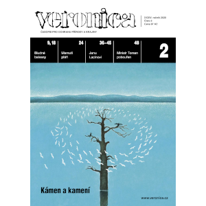 Dnes, na první jarní den odešel Jan Lacina najít svůj kousíček modré po pěšince za svými kamarády i malí ři a básníky krajin…