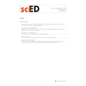 How lower-secondary pupils approach and perceive understanding mathematics