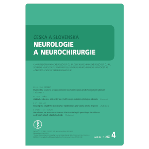 Česká a slovenská neurologie a neurochirurgie