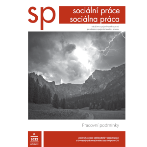 Politická praxe – výzva pro české vzdělavatele v sociální práci