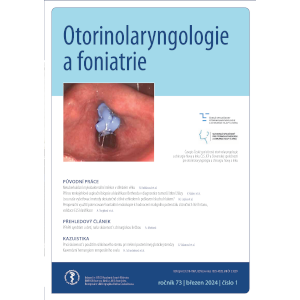 First experience with the use of a silicone stent in the treatment of posterior glottic stenosis – a case report