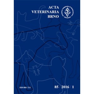 The method of preparation and use of vasectomized stallions to regulate the sexual function in mares during hippodrome testing