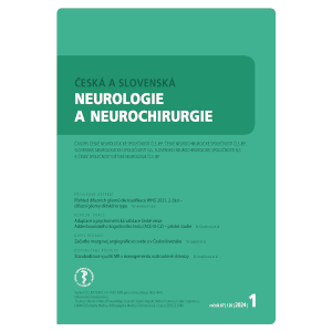 Zpráva ze světového neurochirurgického kongresu 2023