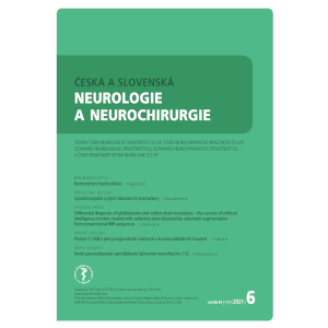 Česká a slovenská neurologie a neurochirurgie