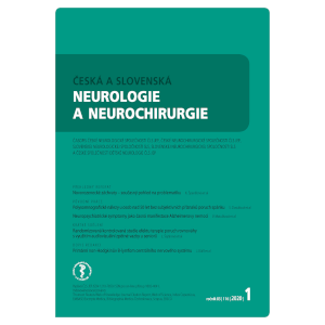 Česká a slovenská neurologie a neurochirurgie